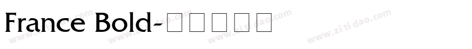 France Bold字体转换